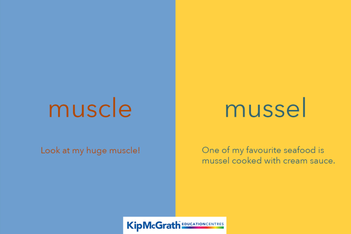 mussel vs muscle